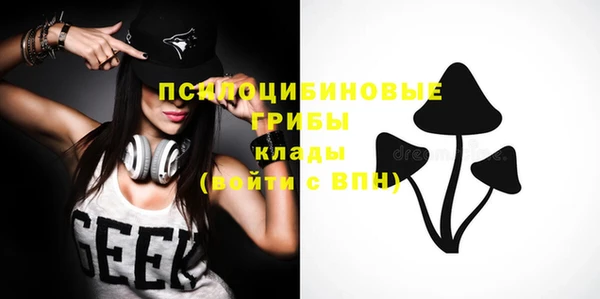 герыч Бронницы