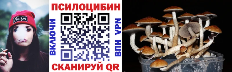 Псилоцибиновые грибы Cubensis Гусев