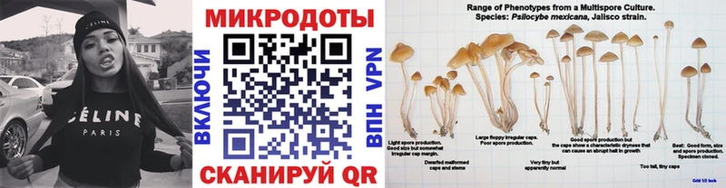 Галлюциногенные грибы MAGIC MUSHROOMS  купить   Гусев 